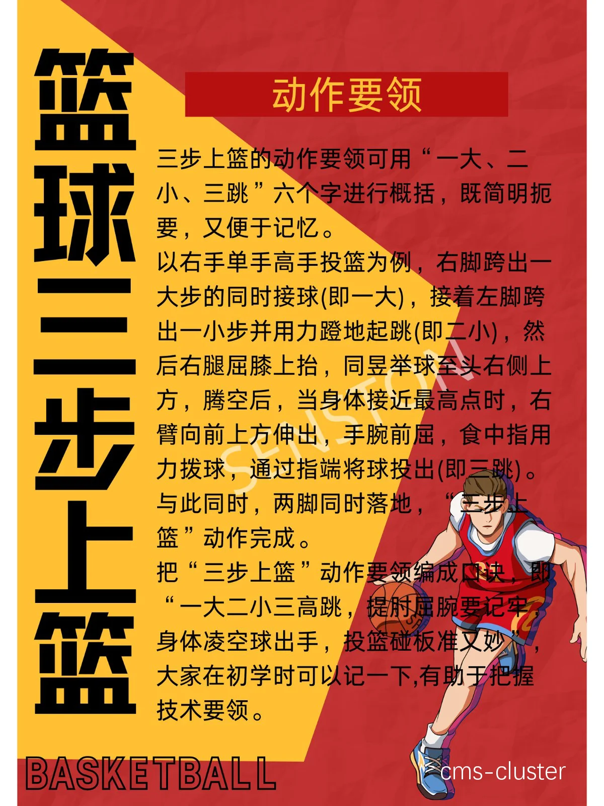 如何通过专业装备为篮球训练提供更好的支持?