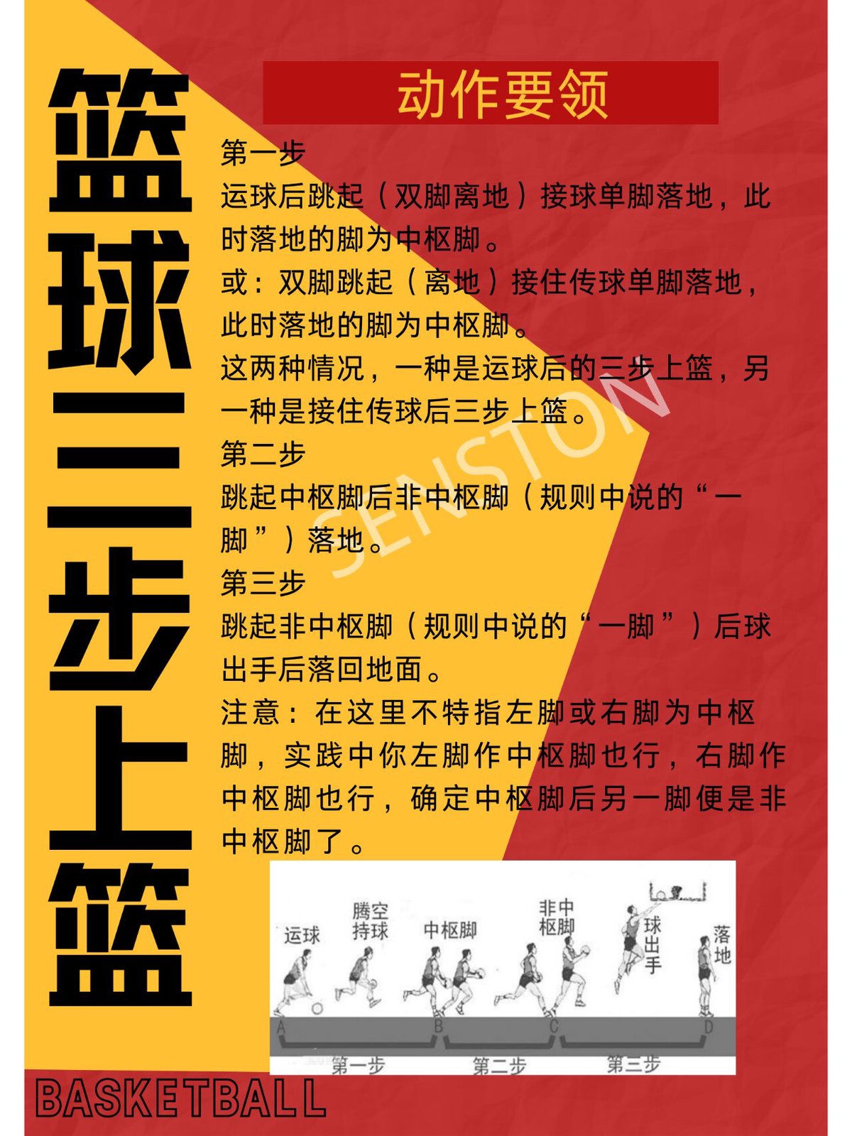 小学篮球基本功训练全套教程视频